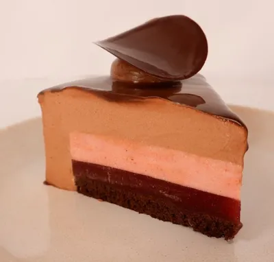 Semifrío Chocolate y frutos del bosque