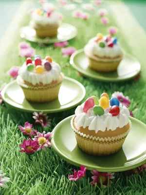 Tegral Satin Creme Cake