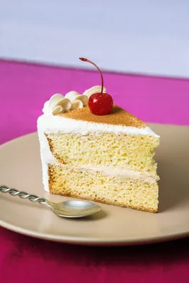 Tegral Bizcochuelo tres leche Premium